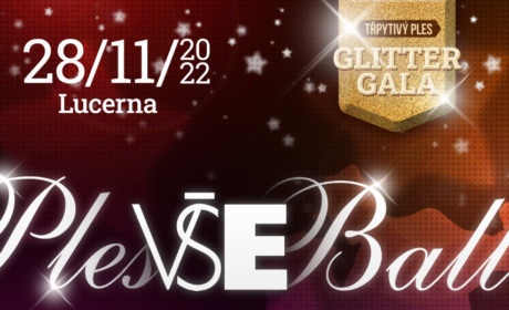 The Representative Ball VŠE /28 November/